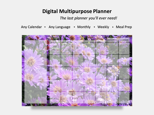 Digital Multipurpose Planner- Purple Asters 2