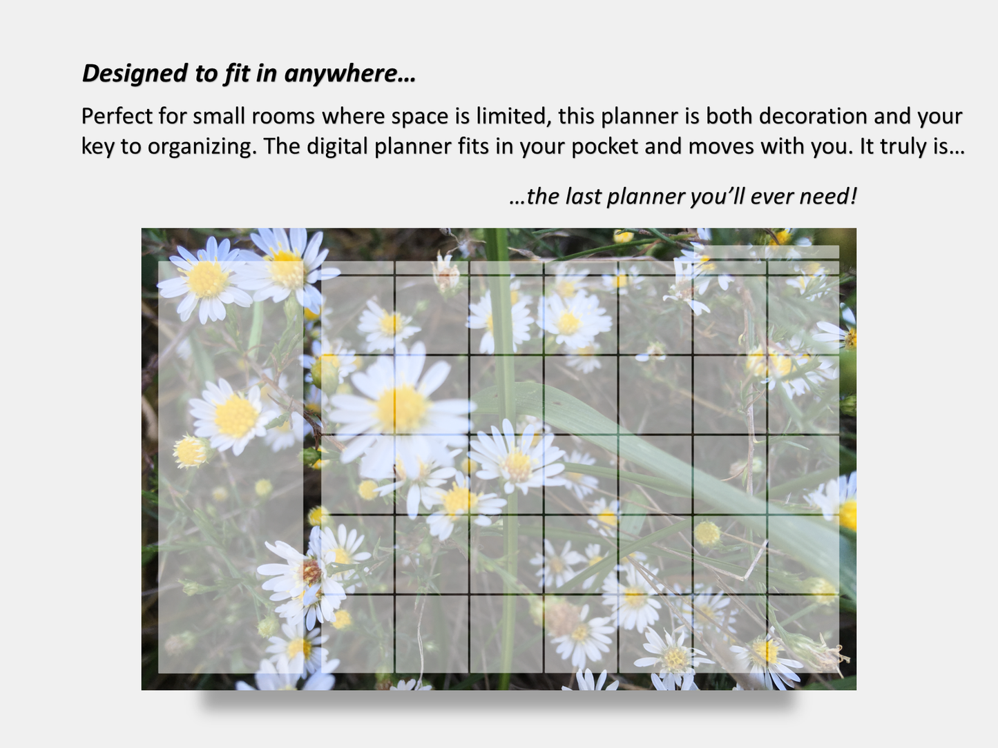 Dry Erase Magnetic Multipurpose Planner- Frost Aster Flowers