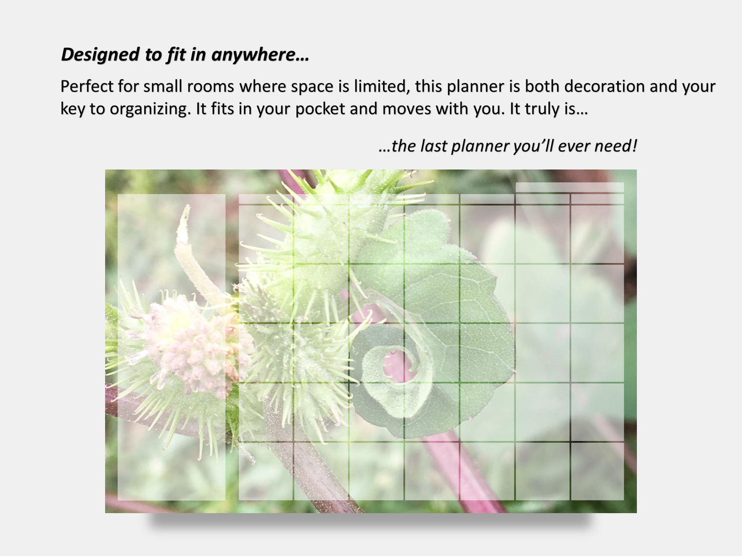 Digital Multipurpose Planner- Curly Twisted Rough Cocklebur