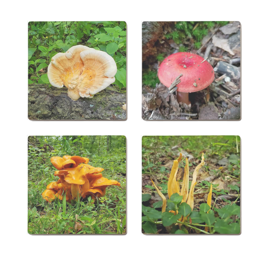 Ceramic Mushroom Coaster Set