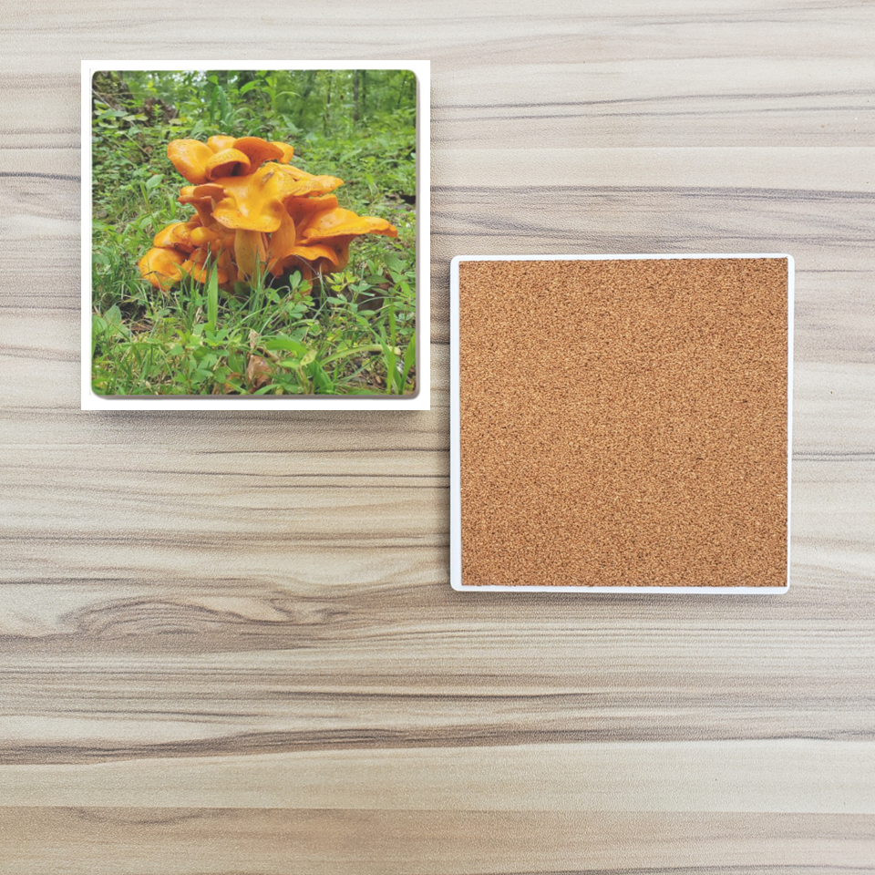 Ceramic Mushroom Coaster Set