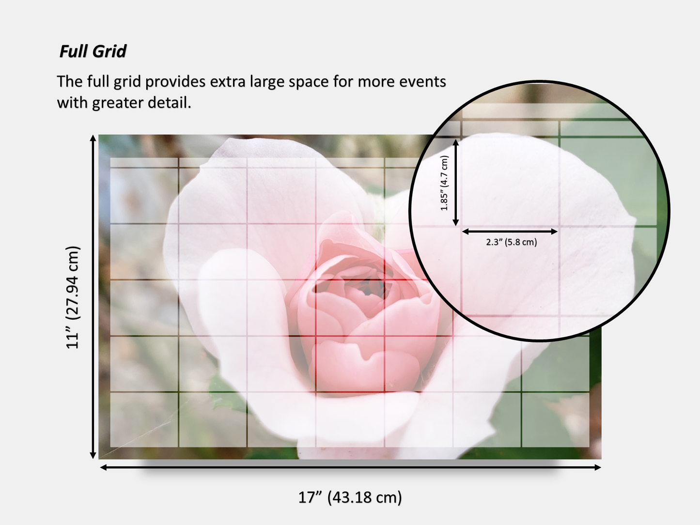 Digital Multipurpose Planner- Hybrid Pink Tea Rose Heart Flower