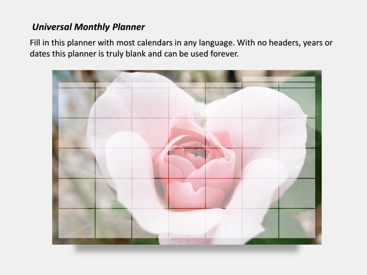 Digital Multipurpose Planner- Hybrid Pink Tea Rose Heart Flower