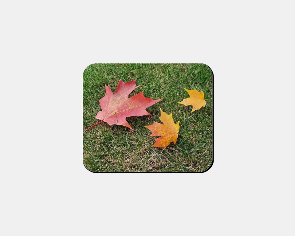 Mouse Pad- Autumn Leaves