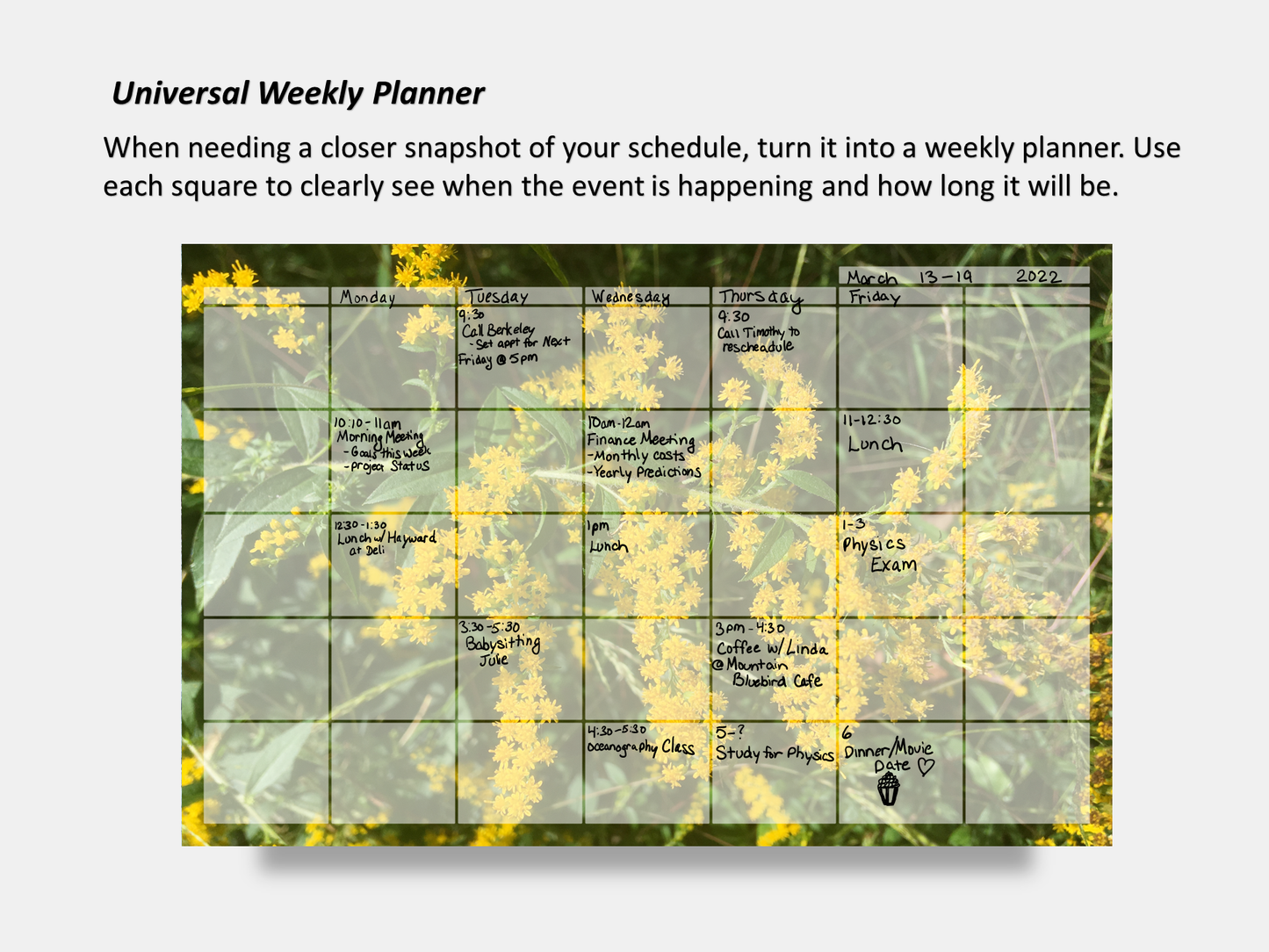 Digital Multipurpose Planner- Golden Rod Macro Photography 3