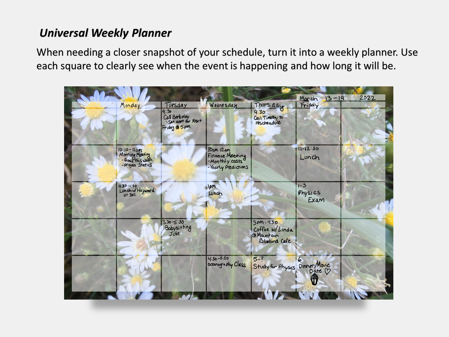 Dry Erase Magnetic Multipurpose Planner- Frost Aster Flowers