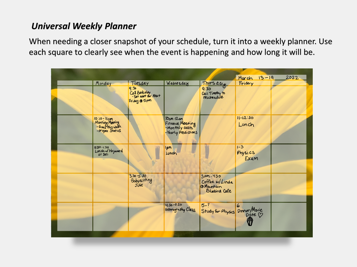 Dry Erase Magnetic Multipurpose Planner- False Sunflower Macro Photography 1