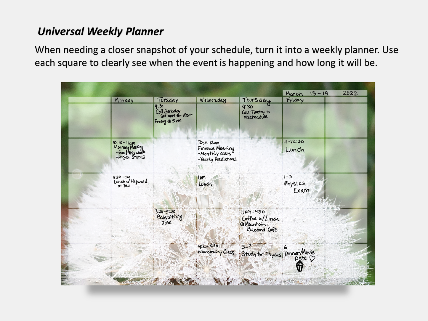 Dry Erase Magnetic Multipurpose Planner- Dandelion Make a Wish