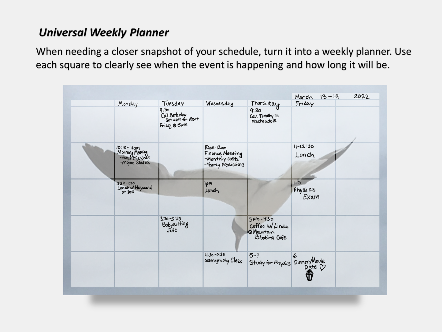 Digital Multipurpose Planner- Flying Seagull Macro Photography