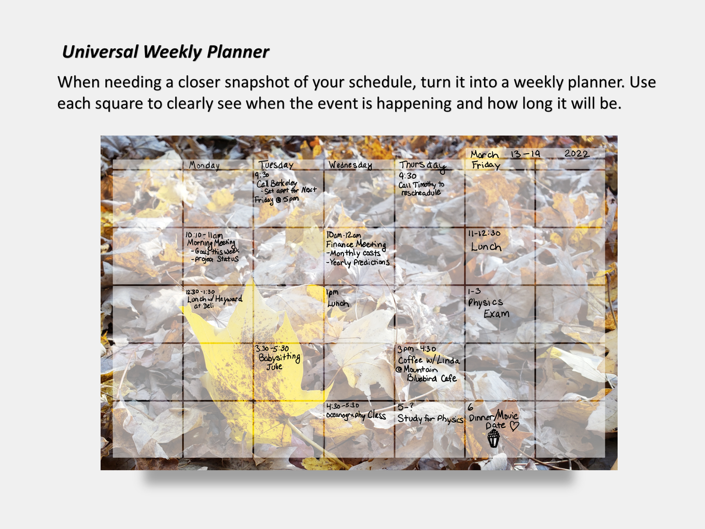 Digital Multipurpose Planner- A Golden Forest Floor