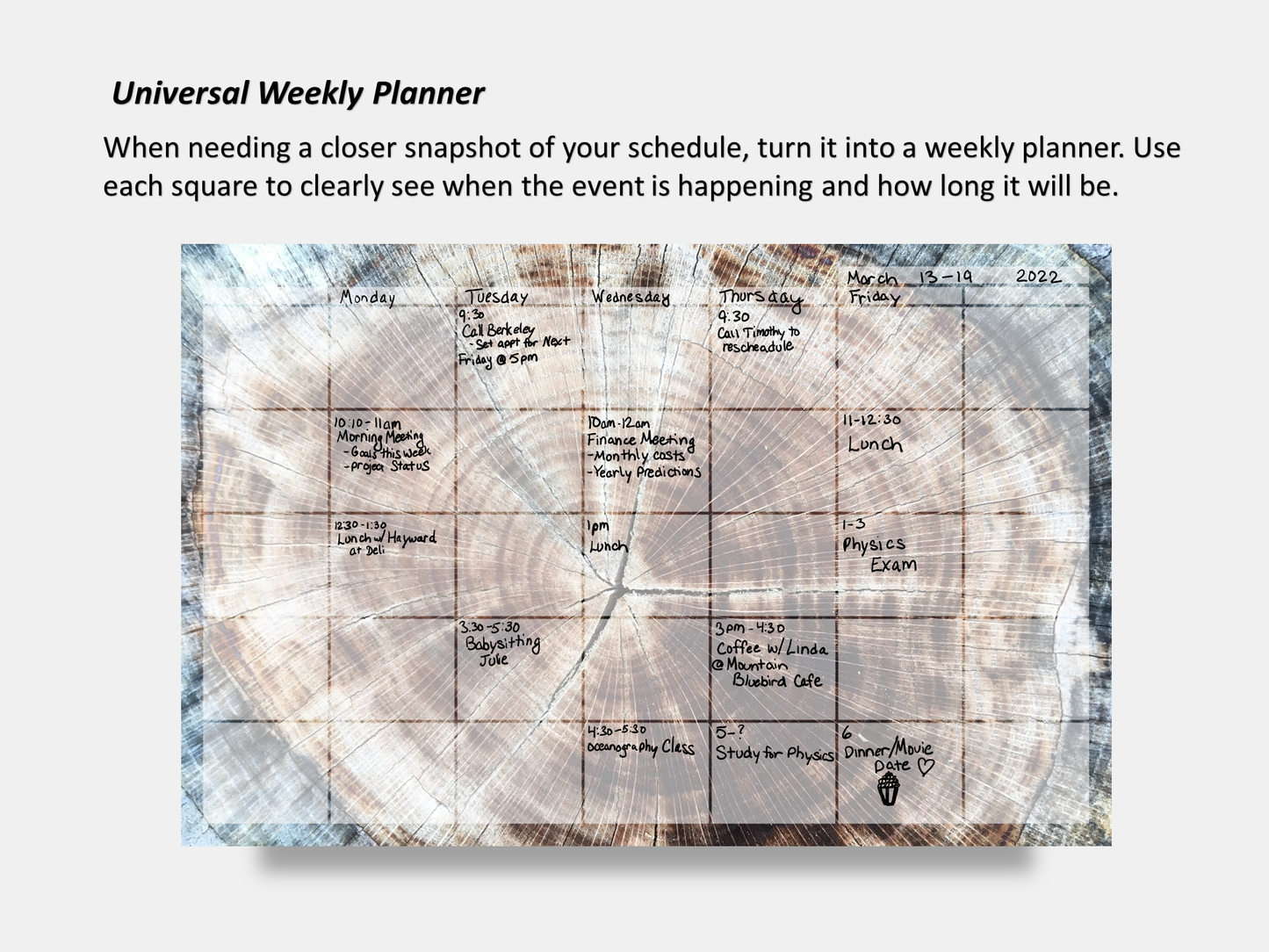 Dry Erase Magnetic Multipurpose Planner- Rings of Time