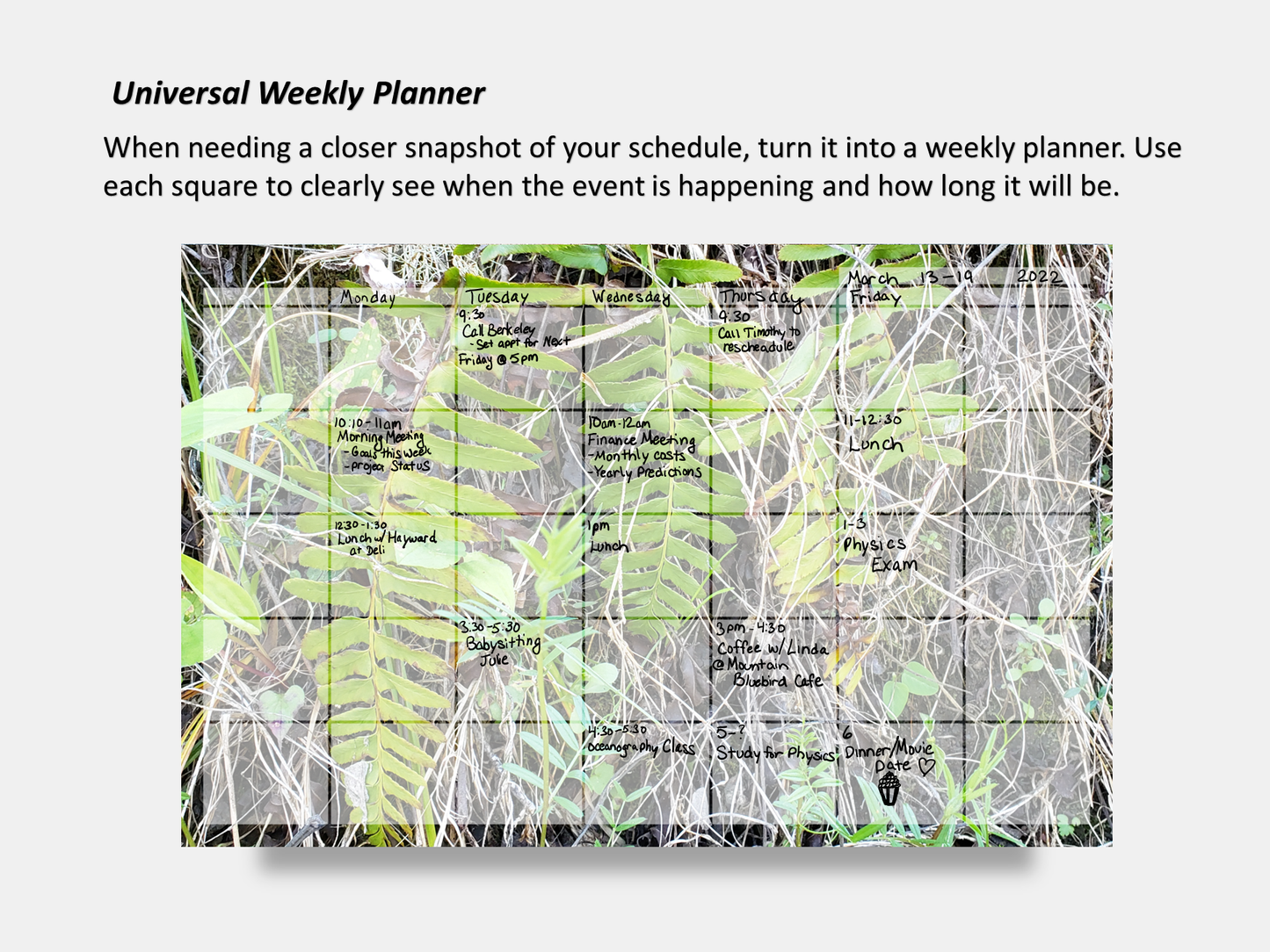 Dry Erase Magnetic Multipurpose Planner- A wall of green and yellow ferns