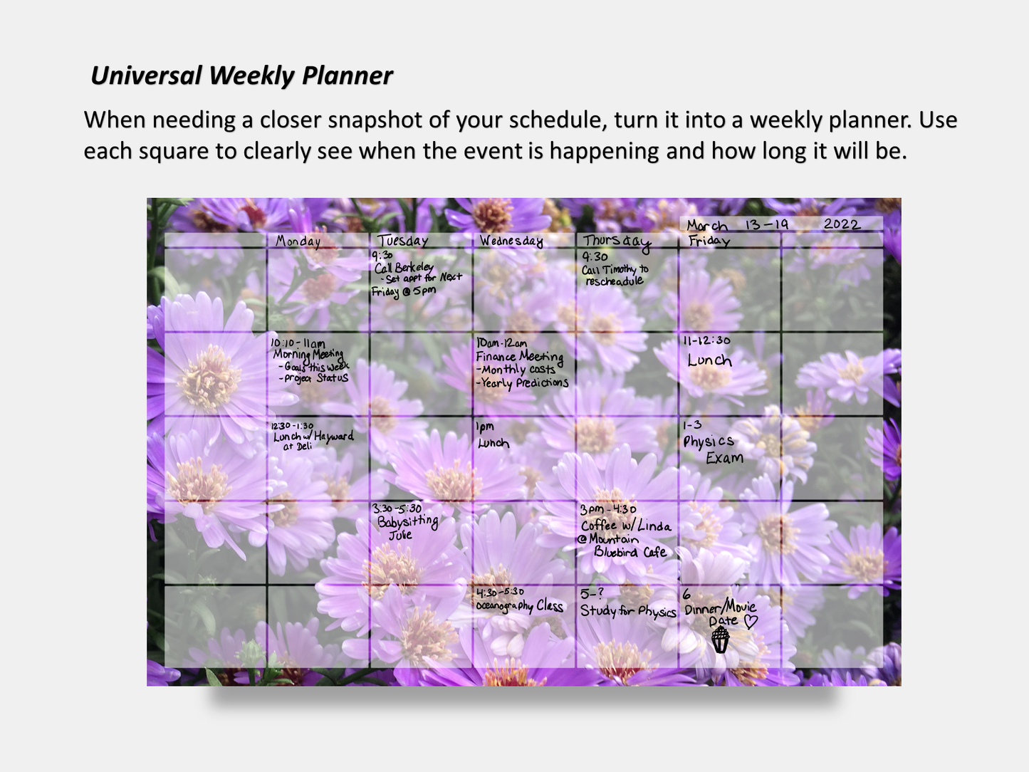 Digital Multipurpose Planner- Purple Asters 2