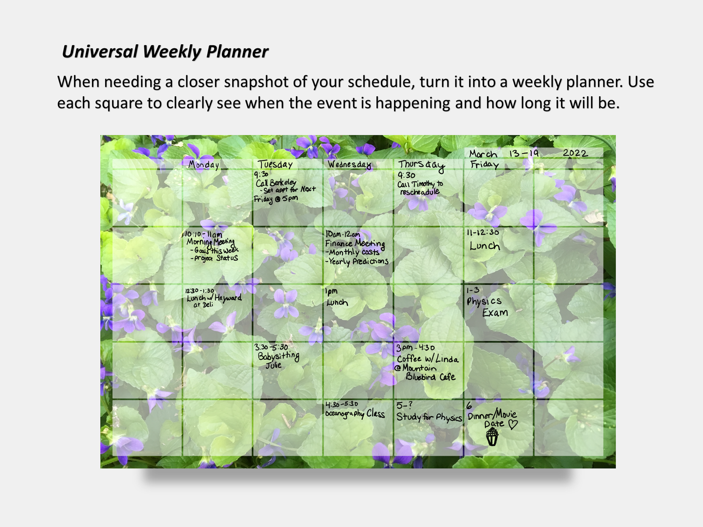 Dry Erase Magnetic Multipurpose Planner- A Field of Violets