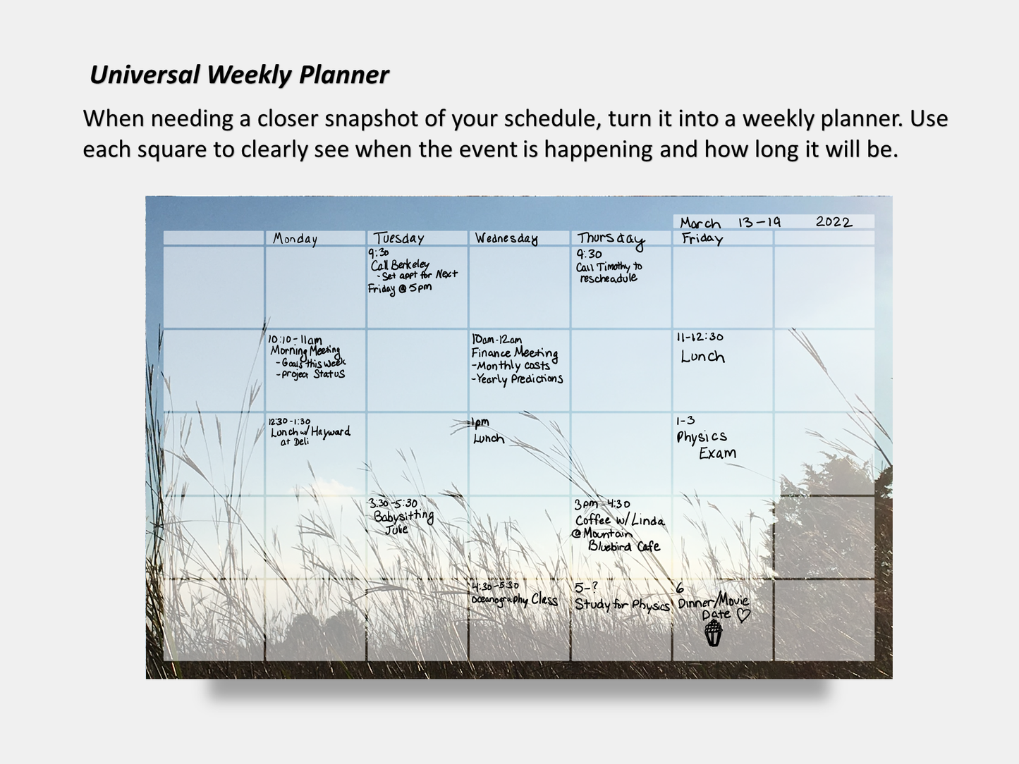 Digital Multipurpose Planner- Beach Grass in the Sunset