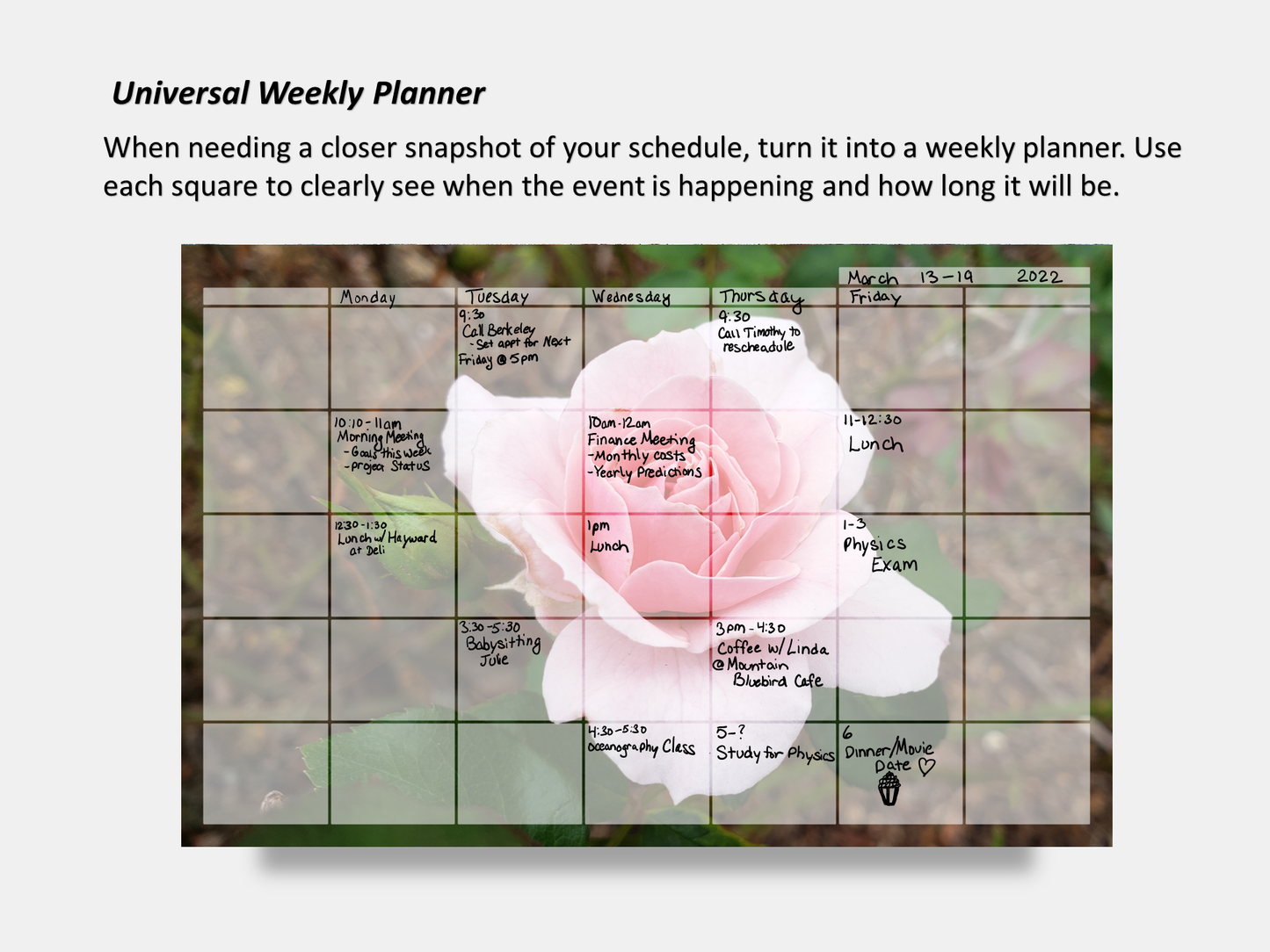 Digital Multipurpose Planner- Hybrid Pink Tea Rose