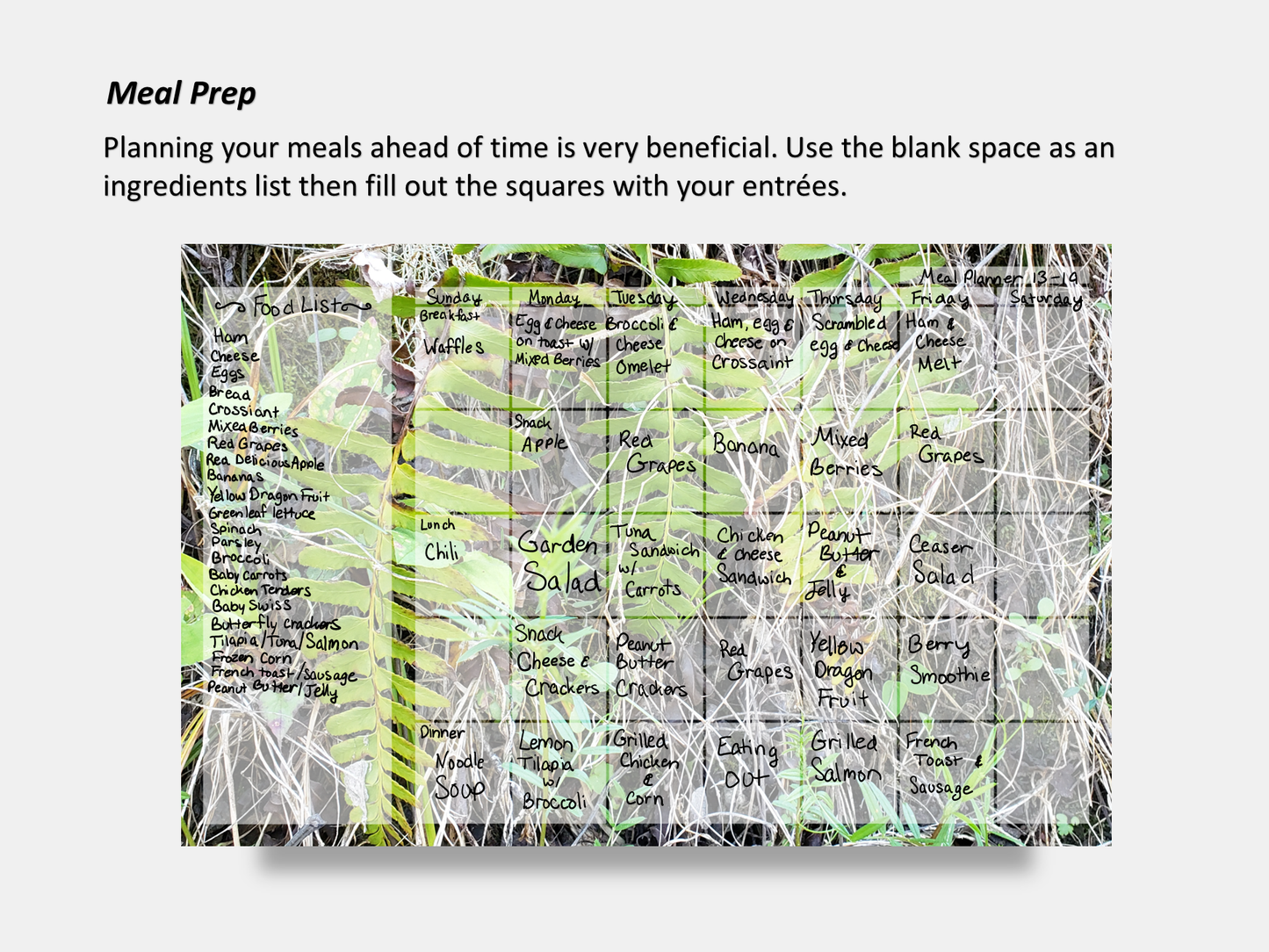 Digital Multipurpose Planner- A wall of green and yellow ferns