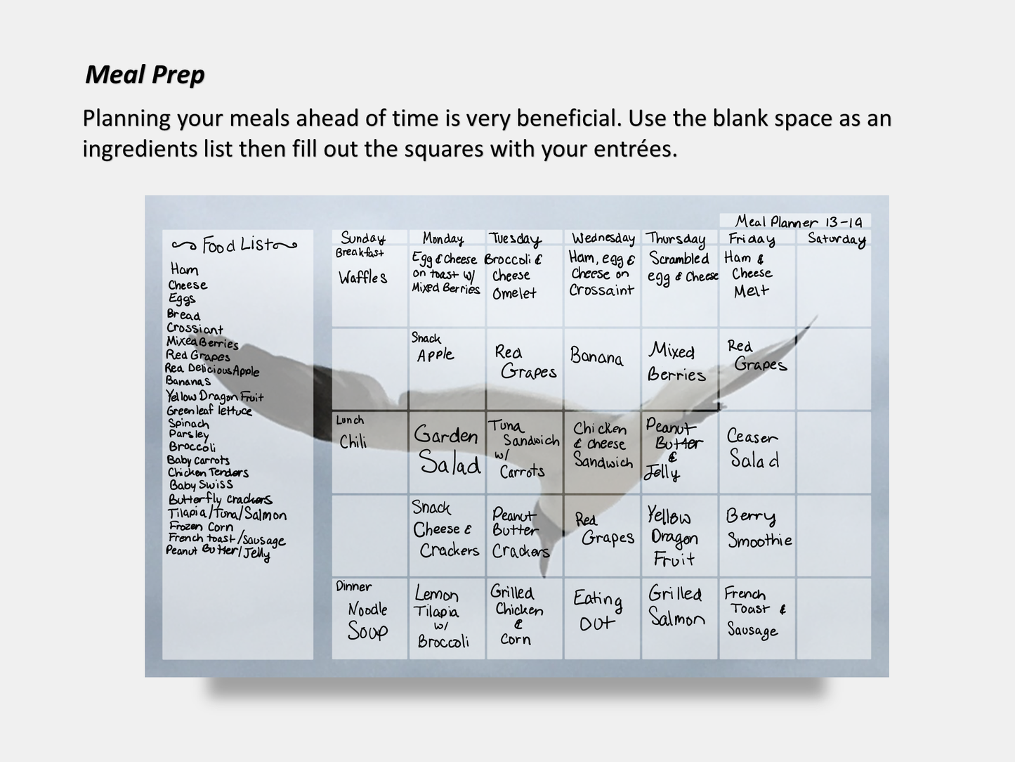 Digital Multipurpose Planner- Flying Seagull Macro Photography