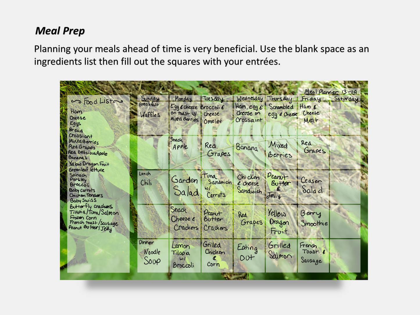 Dry Erase Magnetic Multipurpose Planner- Green Fern