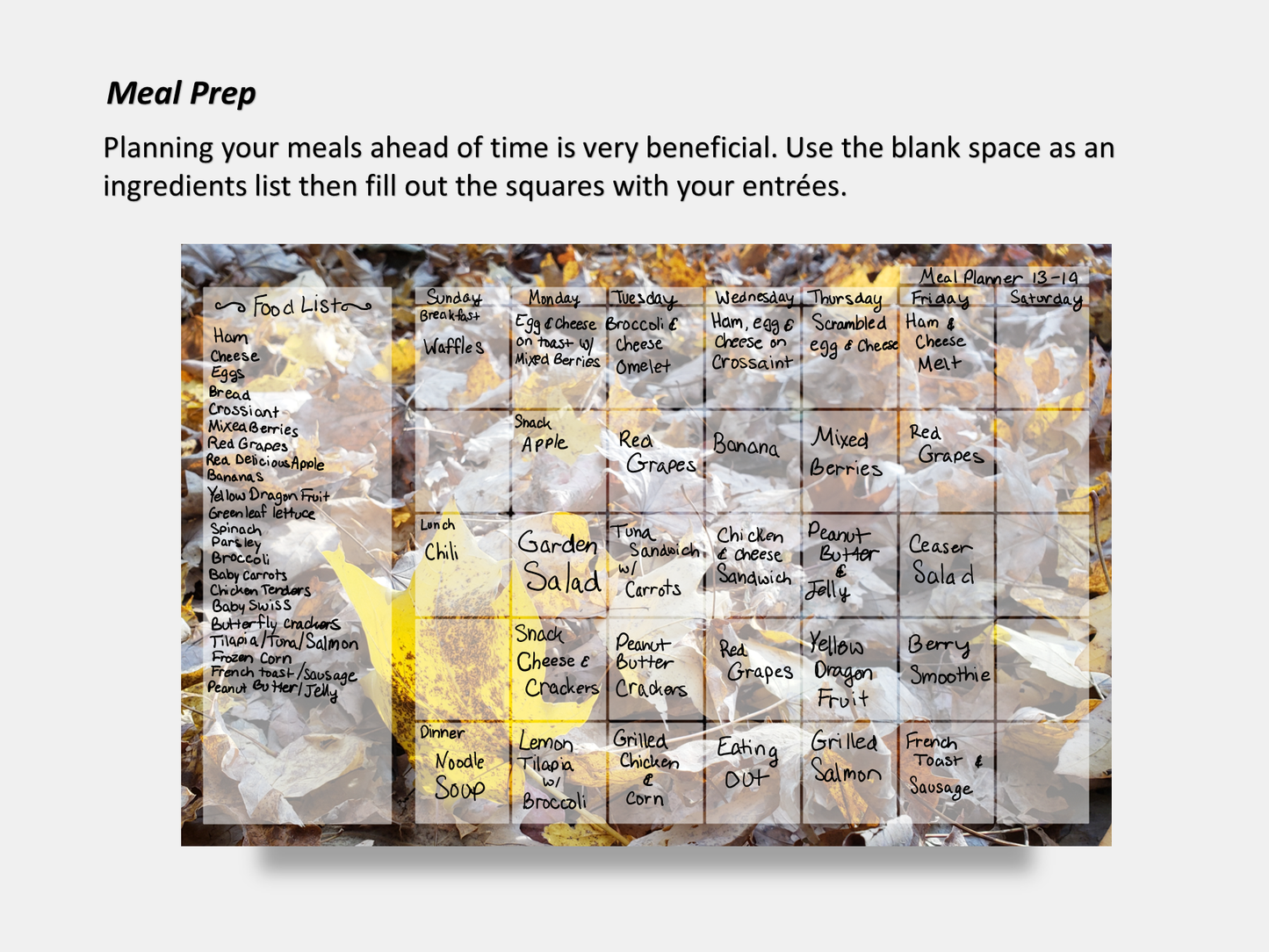 Digital Multipurpose Planner- A Golden Forest Floor