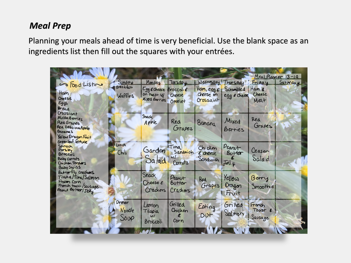 Dry Erase Magnetic Multipurpose Planner- Frost Aster Flowers