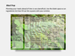 Digital Multipurpose Planner- Green Fern