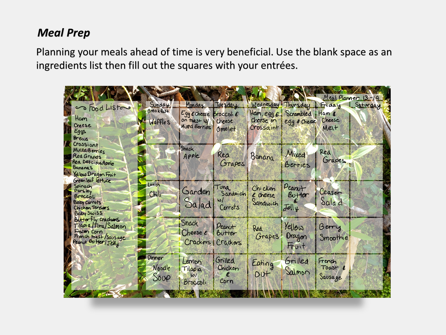 Dry Erase Magnetic Multipurpose Planner- A mossy cliff with ferns