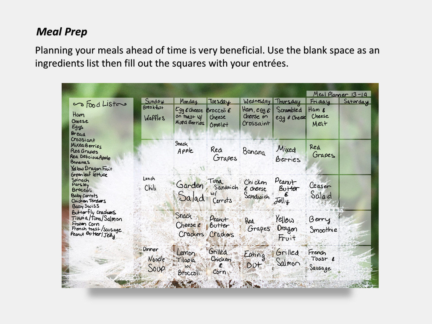 Digital Multipurpose Planner- Dandelion Make a Wish