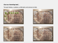 Digital Multipurpose Planner- Banded Cichlid Orange fish