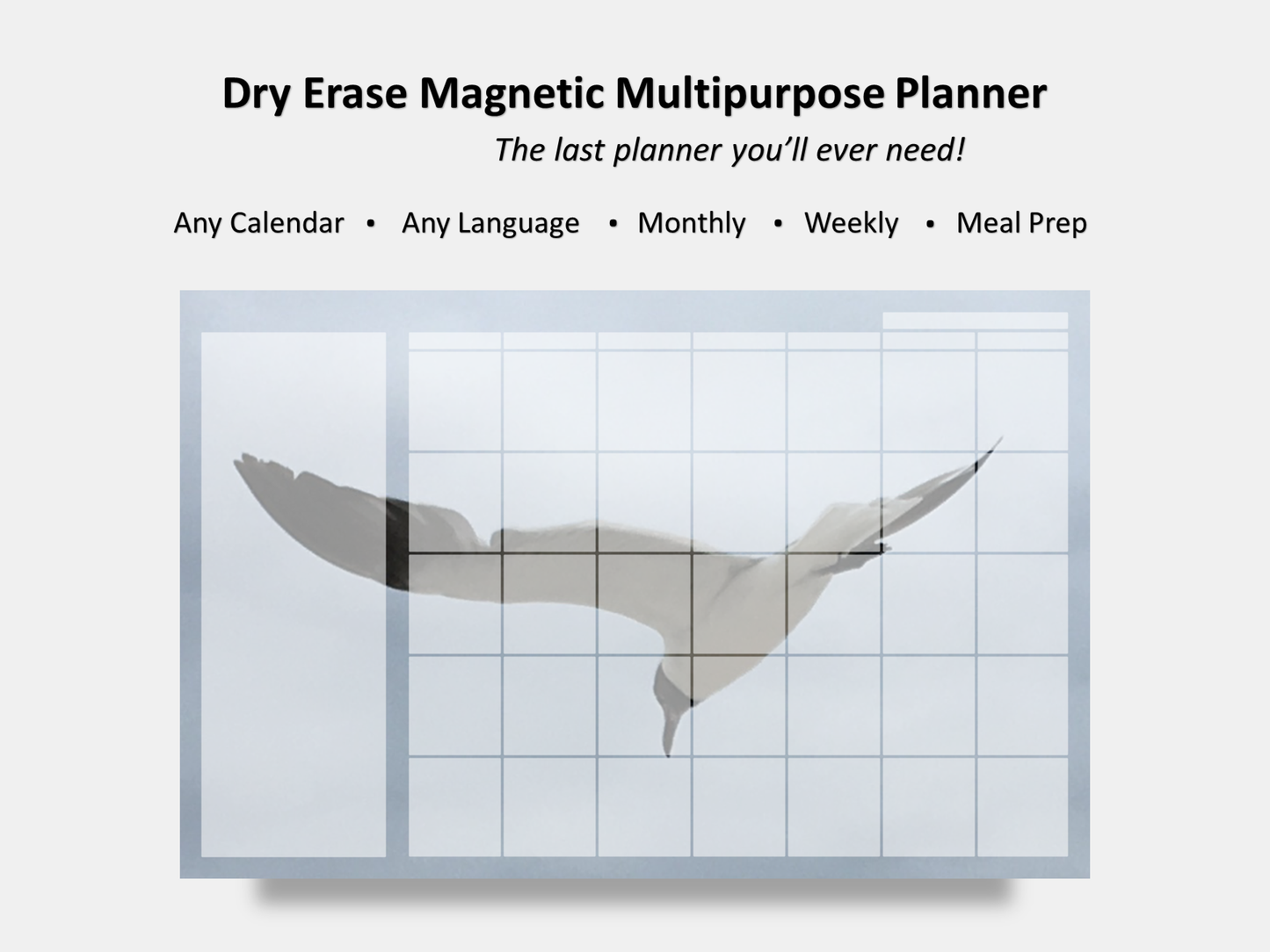 Dry Erase Magnetic Multipurpose Planner- Flying Seagull Macro Photography