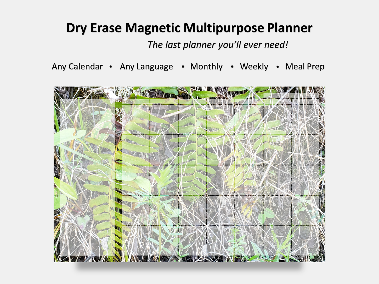 Dry Erase Magnetic Multipurpose Planner- A wall of green and yellow ferns