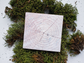 Rustic Tree Ring Sticky Notes