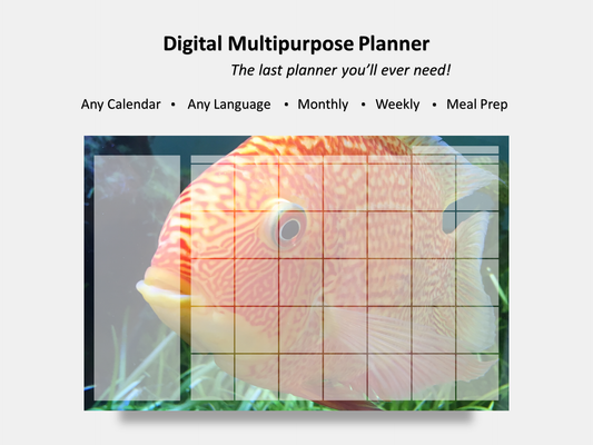 Digital Multipurpose Planner- Banded Cichlid Orange fish