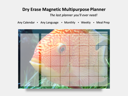 Dry Erase Magnetic Multipurpose Planner- Banded Cichlid Orange fish