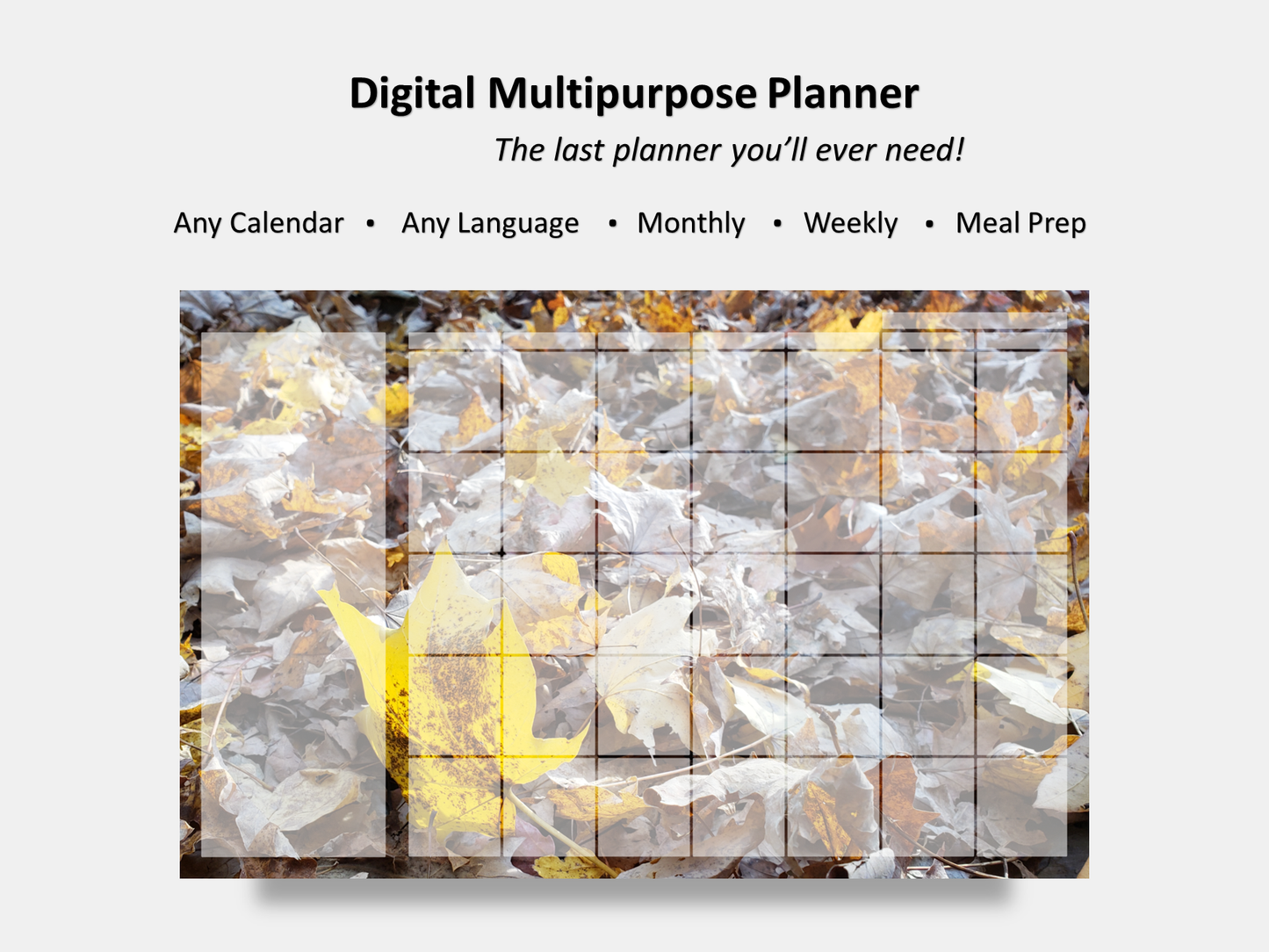 Digital Multipurpose Planner- A Golden Forest Floor