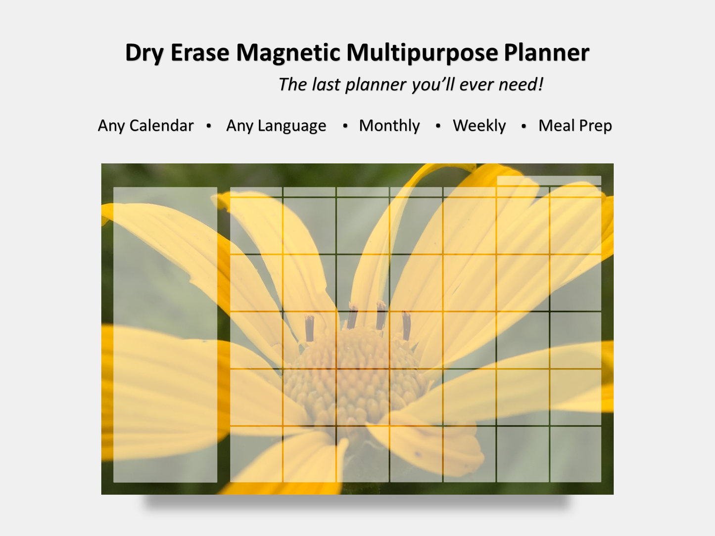 Dry Erase Magnetic Multipurpose Planner- False Sunflower Macro Photography 1