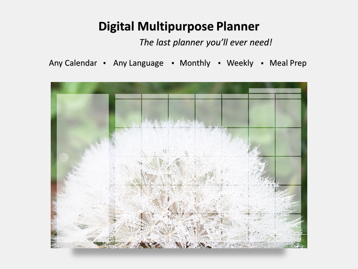 Digital Multipurpose Planner- Dandelion Make a Wish