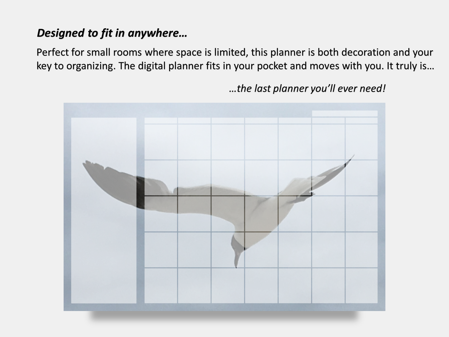 Dry Erase Magnetic Multipurpose Planner- Flying Seagull Macro Photography