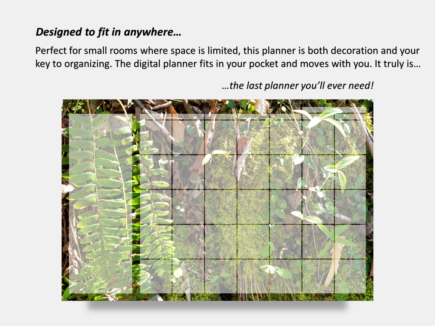 Dry Erase Magnetic Multipurpose Planner- A mossy cliff with ferns