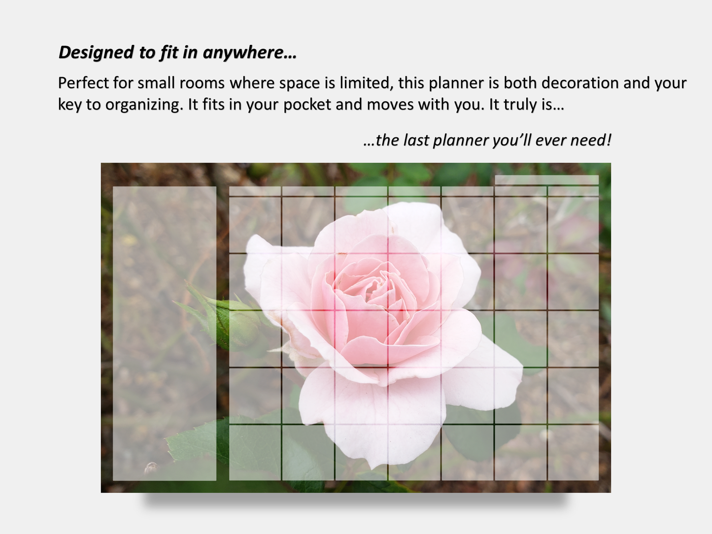 Digital Multipurpose Planner- Hybrid Pink Tea Rose