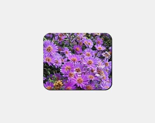 Mouse Pad- Purple Asters