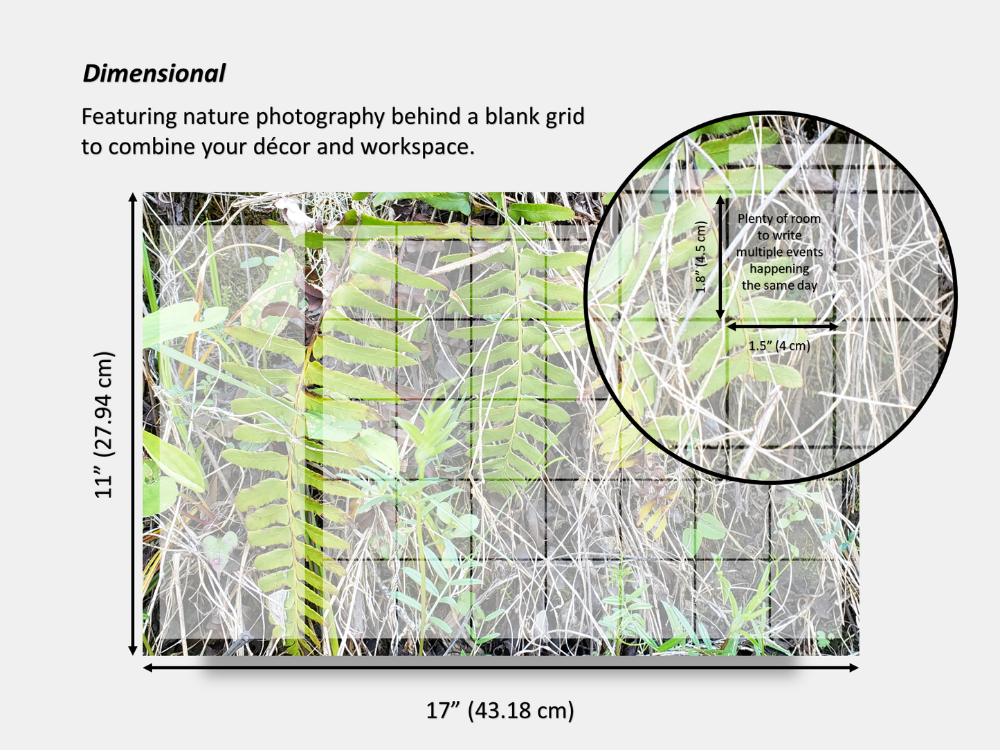 Dry Erase Magnetic Multipurpose Planner- A wall of green and yellow ferns