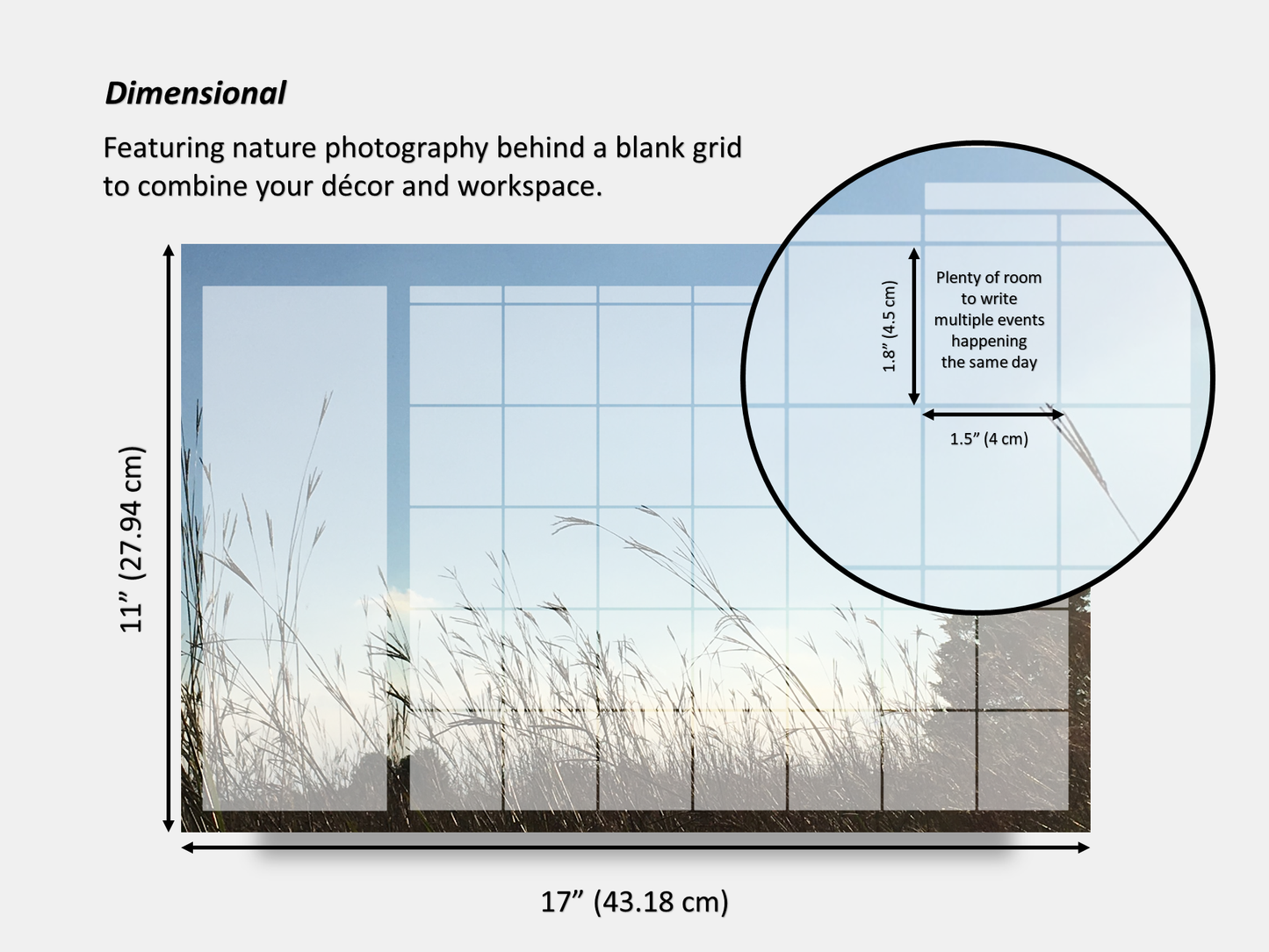 Digital Multipurpose Planner- Beach Grass in the Sunset