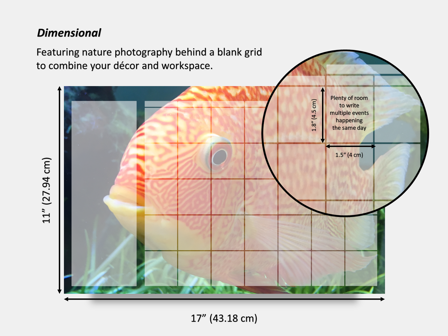 Dry Erase Magnetic Multipurpose Planner- Banded Cichlid Orange fish