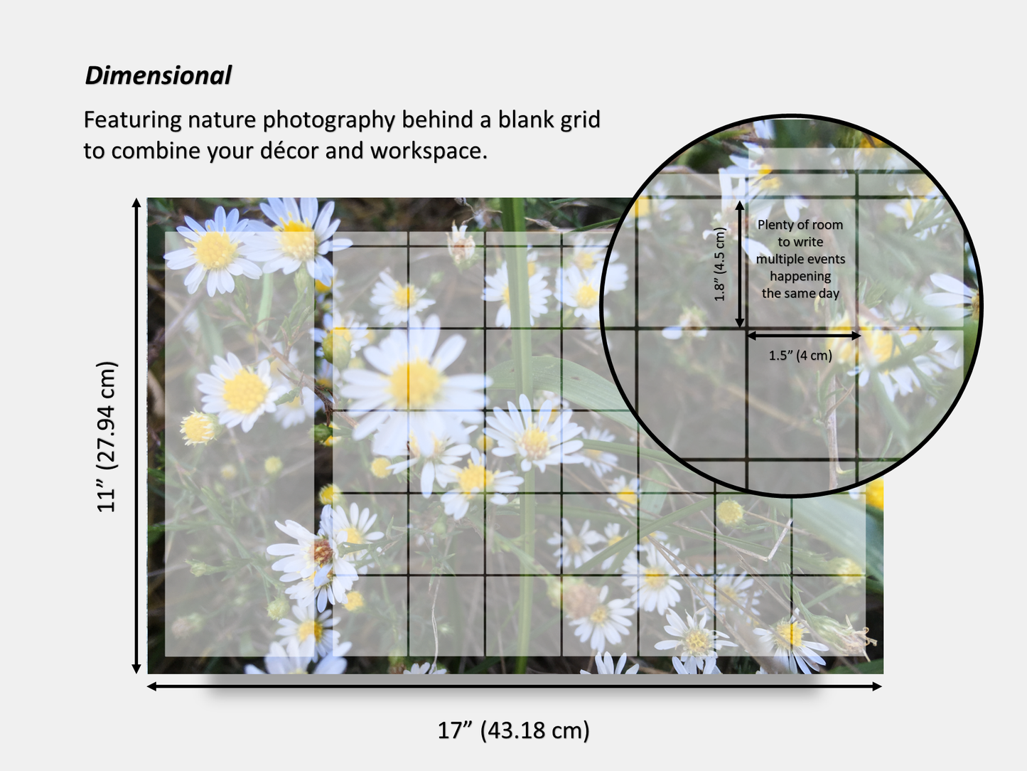 Dry Erase Magnetic Multipurpose Planner- Frost Aster Flowers