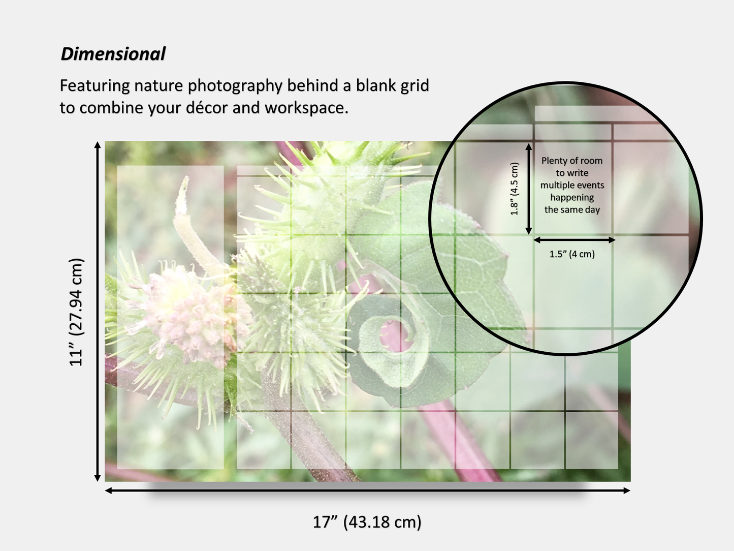 Digital Multipurpose Planner- Curly Twisted Rough Cocklebur