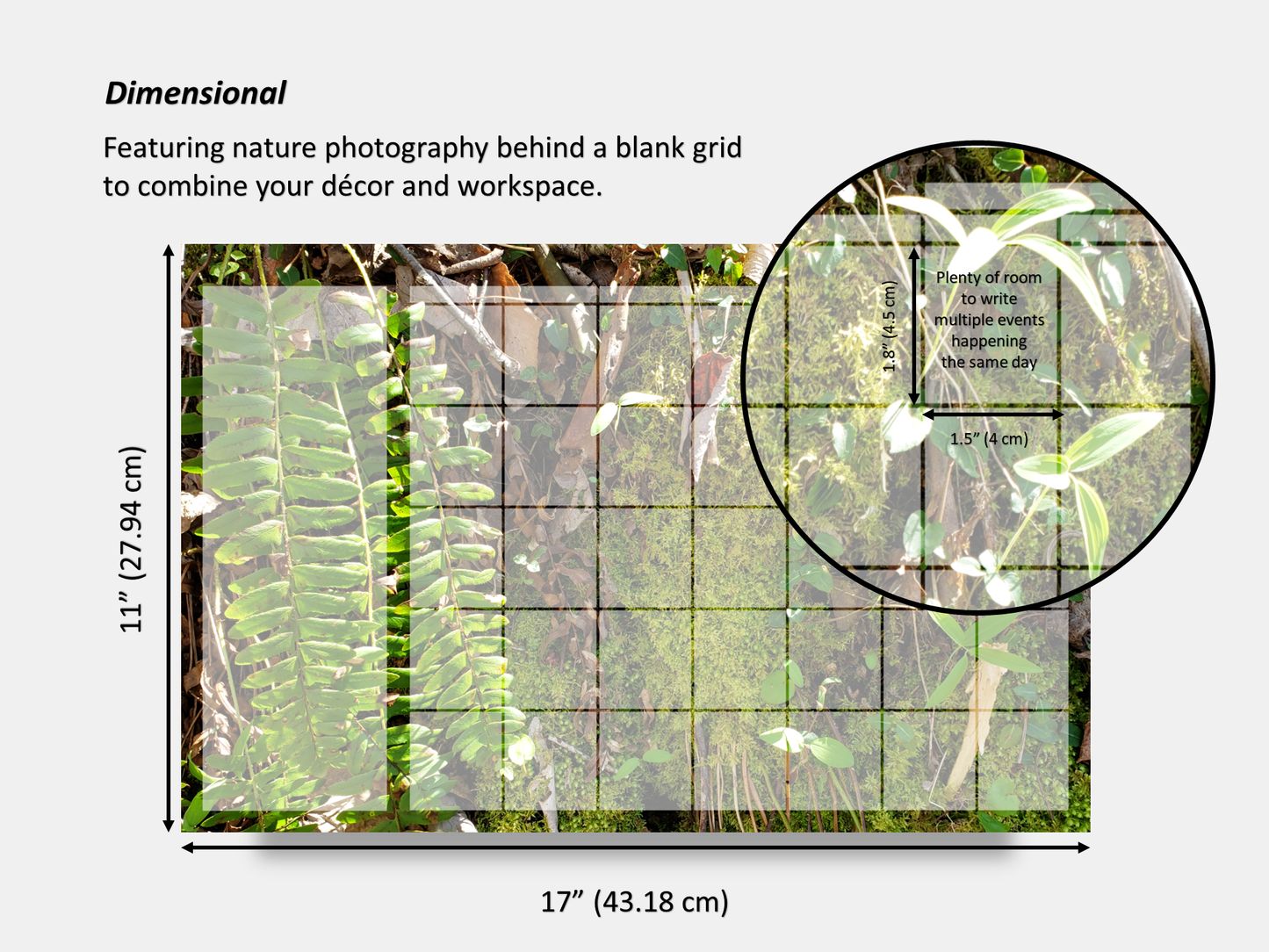 Digital Multipurpose Planner- A mossy cliff with ferns