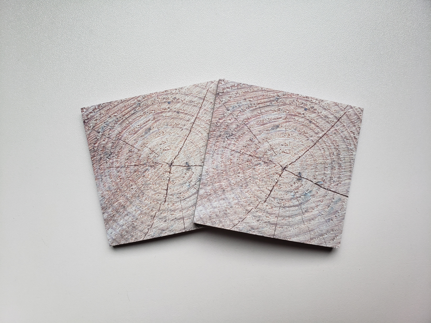 Rustic Tree Ring Sticky Notes