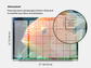 Digital Multipurpose Planner- Banded Cichlid Orange fish