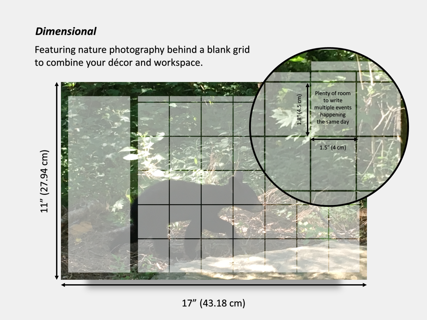 Digital Multipurpose Planner- Baby Black Bear